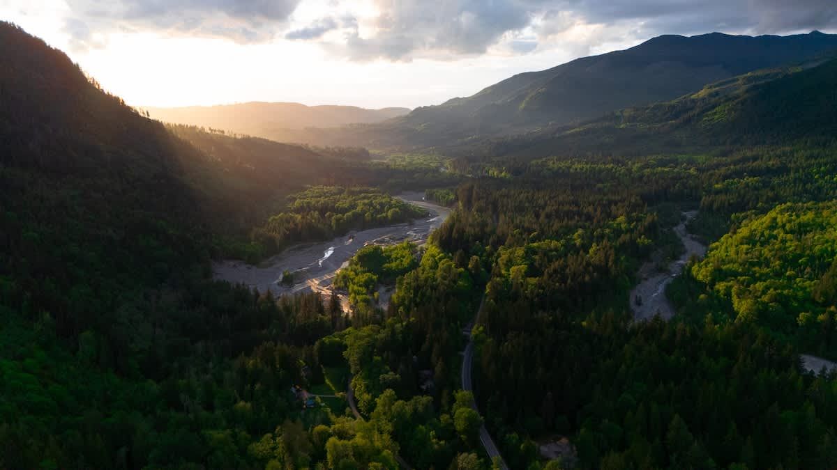 Aerial view of the forested acreage surrounding Evergreen Lodge